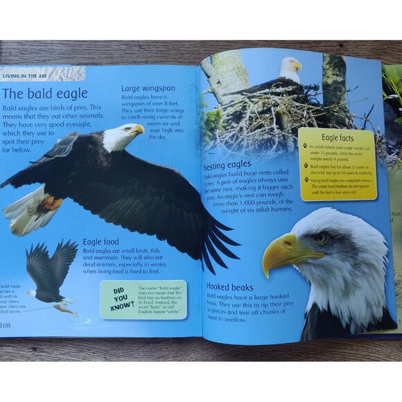 Children's Encyclopedia. 3 Books. - Picture 12 of 13